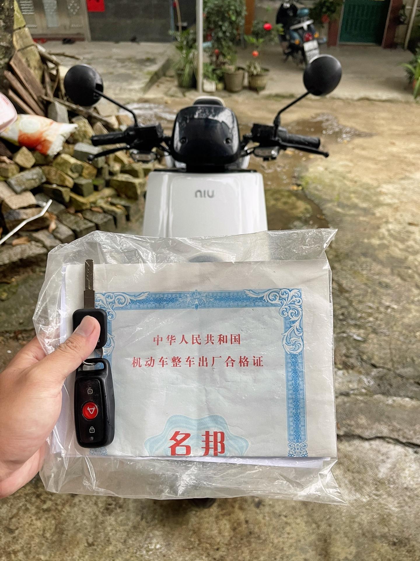 小牛 n1s 动力版  白色.