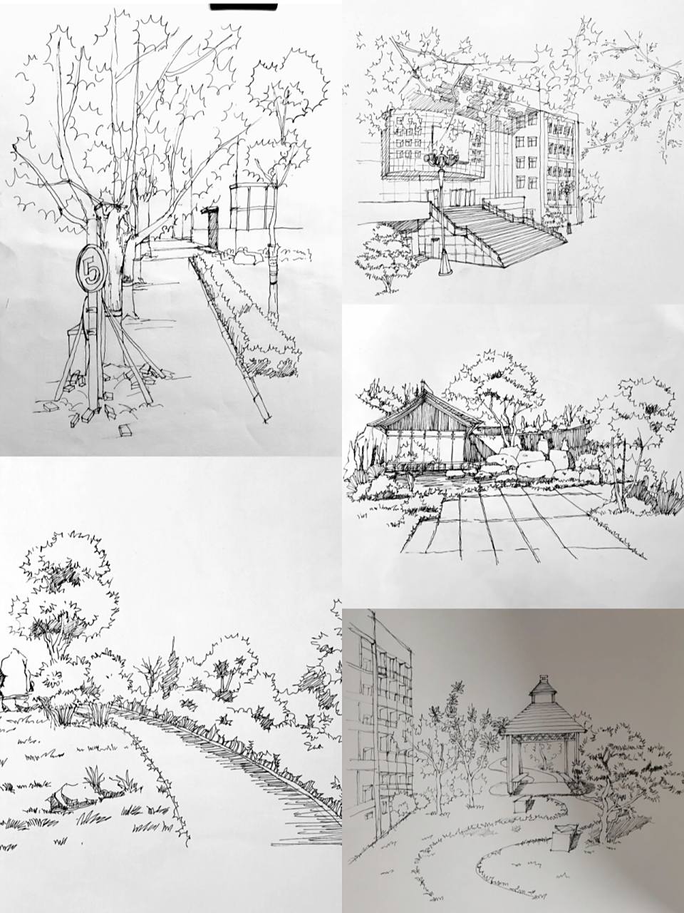 校园景观手绘写生