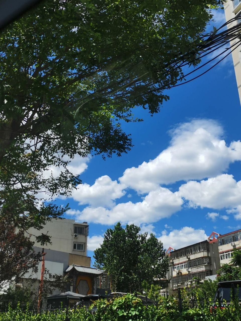 朝阳今天天气真好 今天 蓝天白云 晴空万里 注意防护