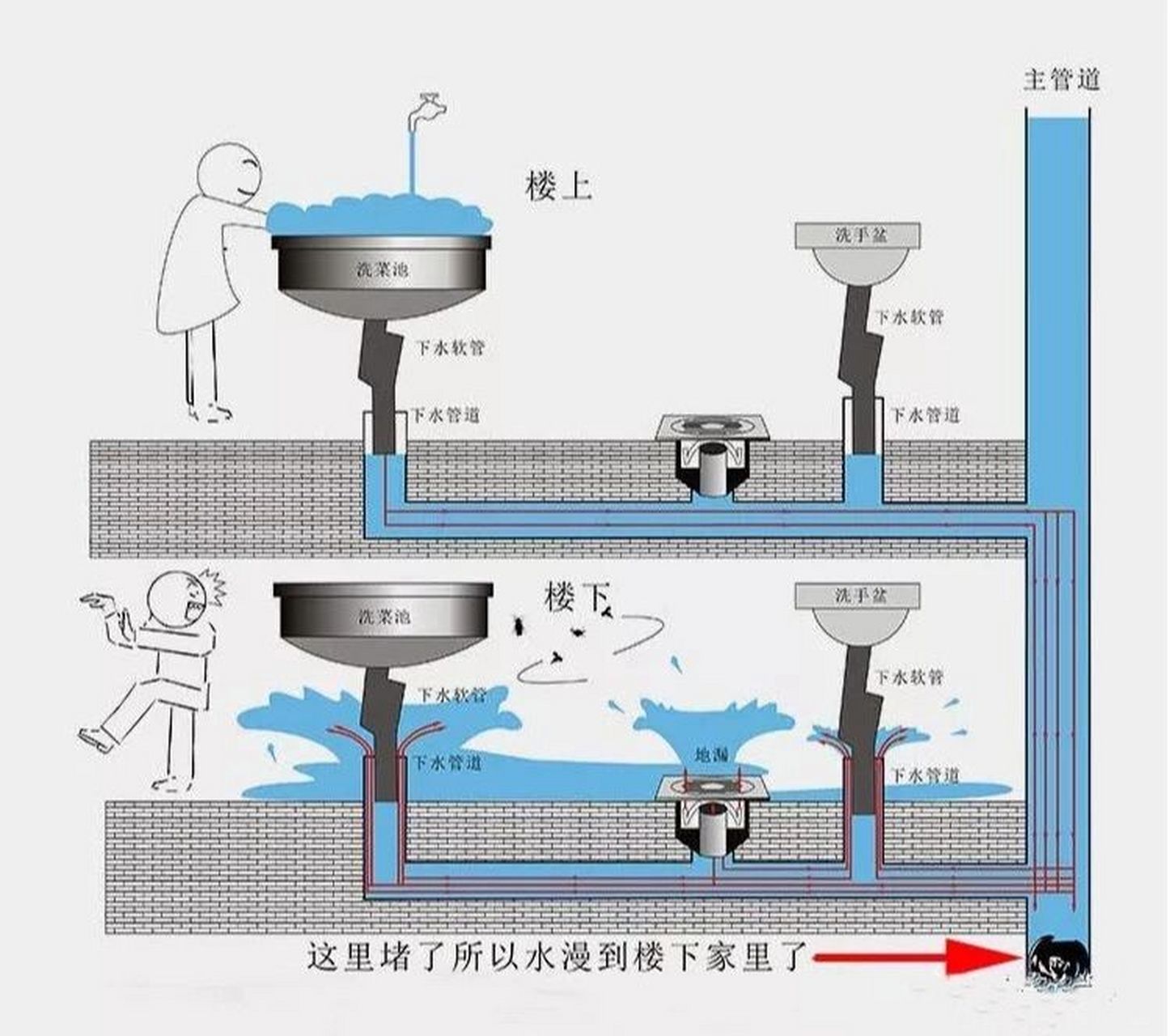 一楼独立下水图图片