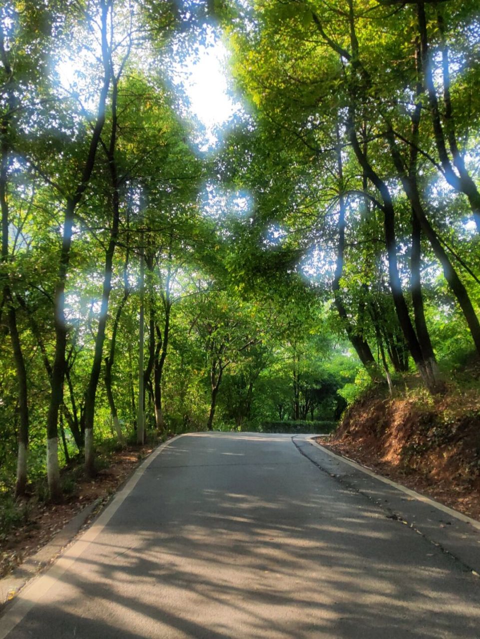 去衡阳平湖公园骑了一圈,惬意~ 在平湖公园吃完米粉,骑车兜风.