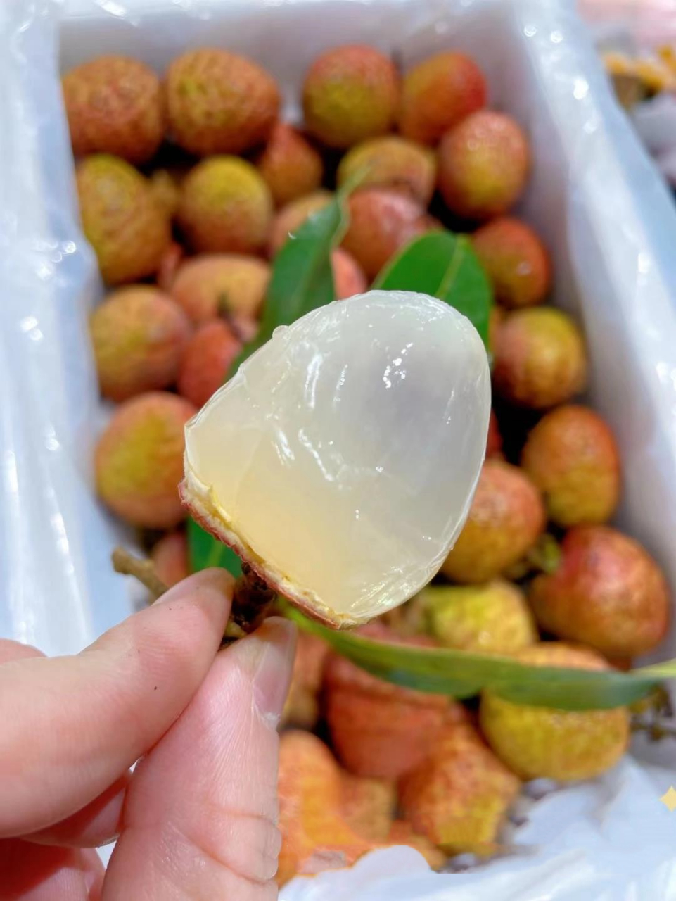 桂花香荔枝 785561q弹的果肉宛若凝脂,有股淡淡的蜜香.