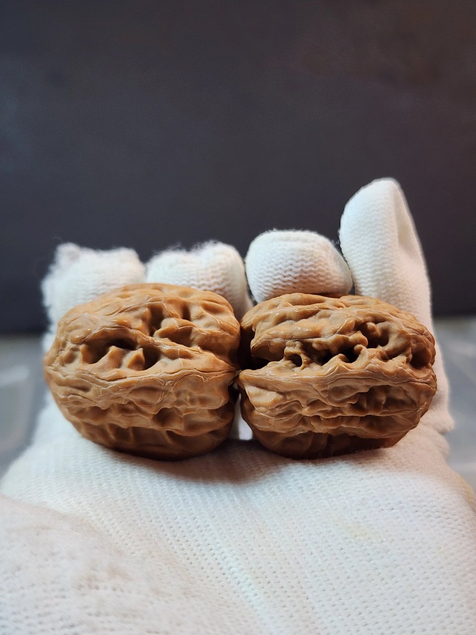 平谷方块核桃原树带证书全品 40尺寸高货欣赏