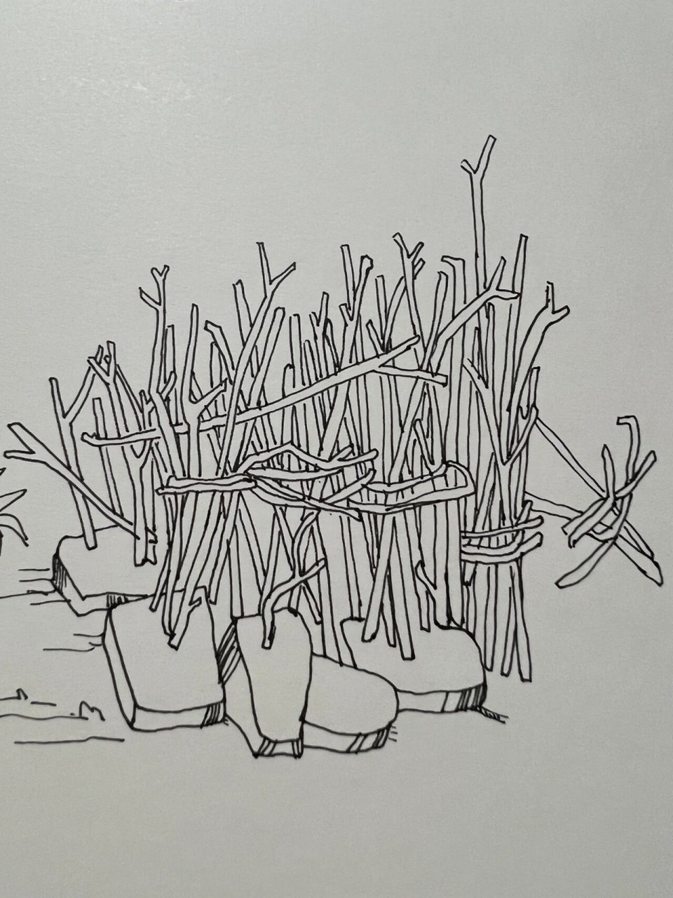 速写风景～干柴火堆 速写就是一不画手就生