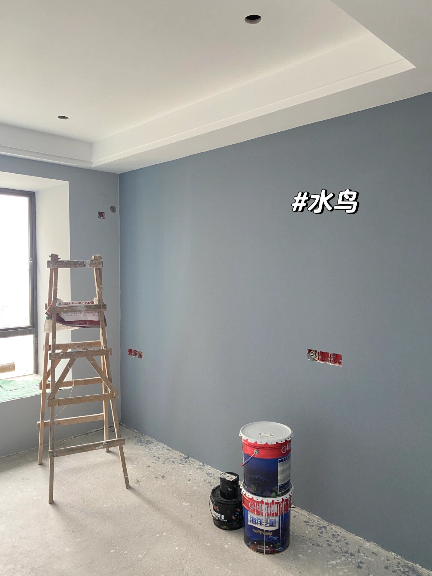 快来看我的雾霾蓝乳胶漆配色:水鸟 银币 选的是立邦的色卡,漆不是立邦