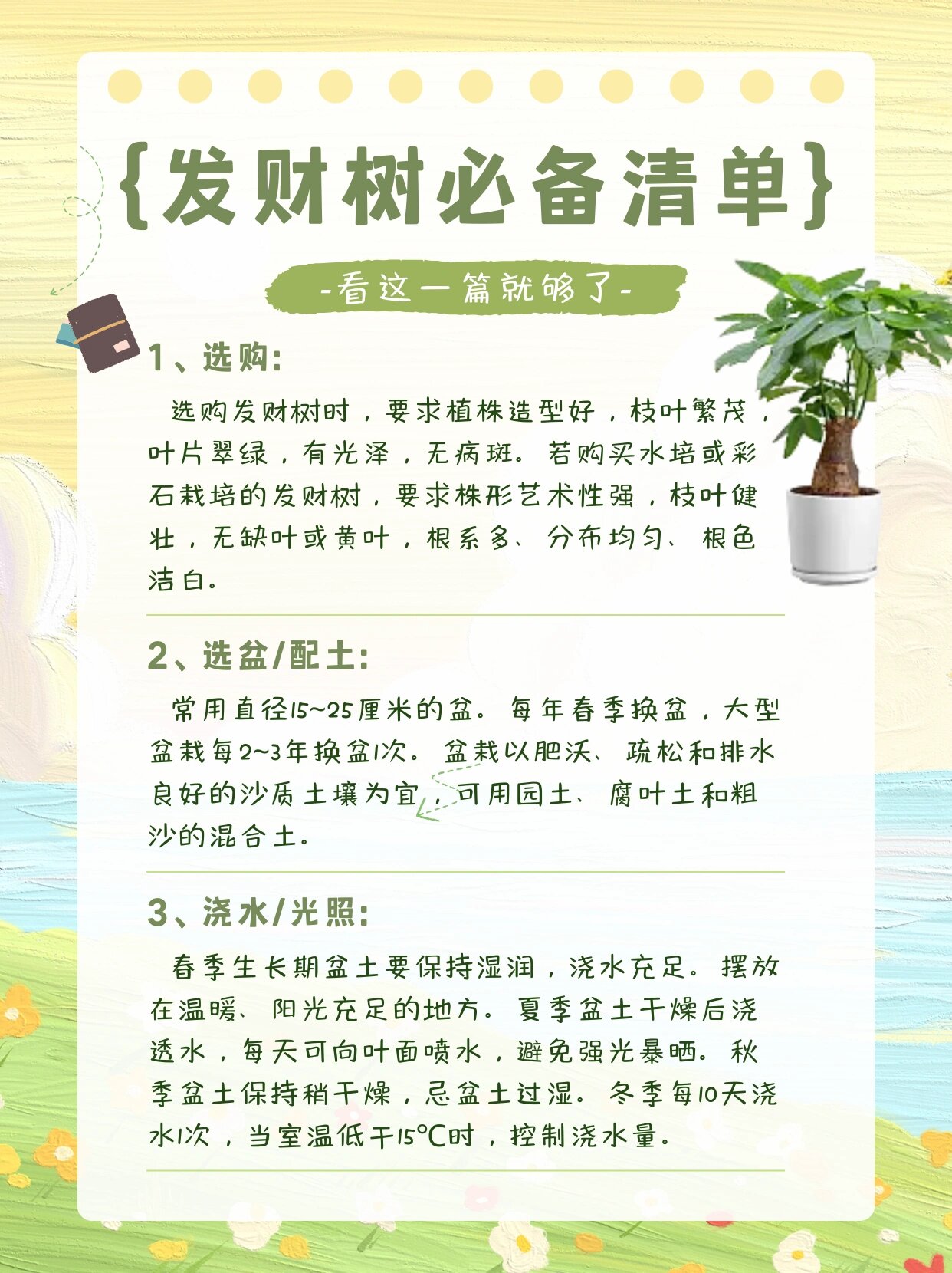 全网最全/发财树养护攻略