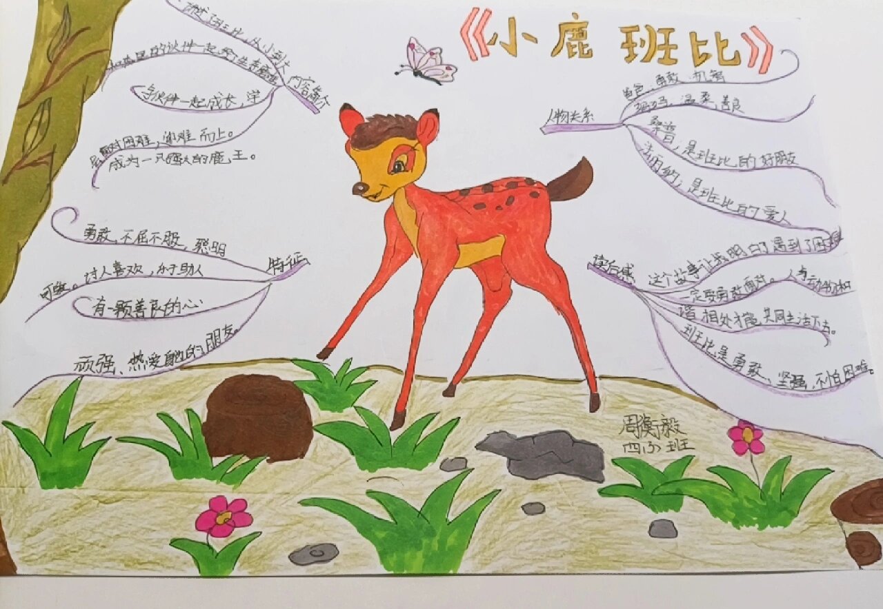 小鹿斑比思维导图
