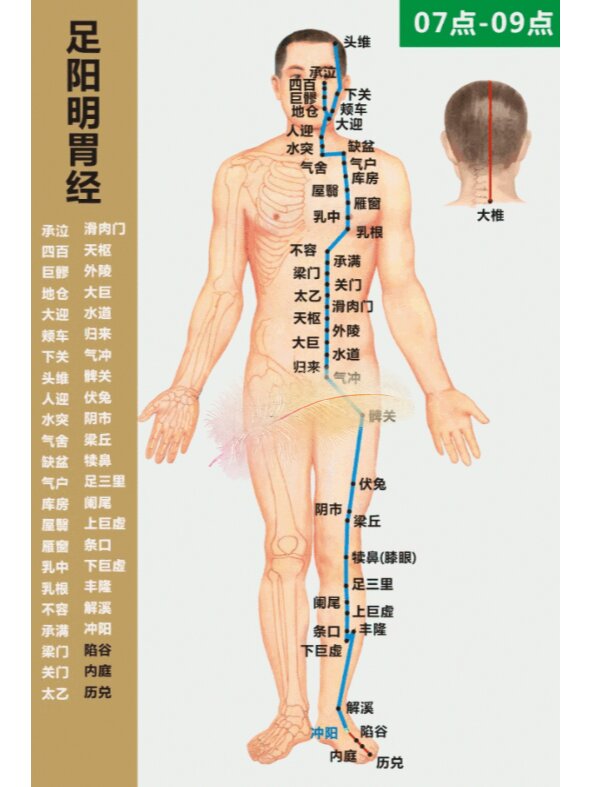 大肠经络图位置清晰图图片