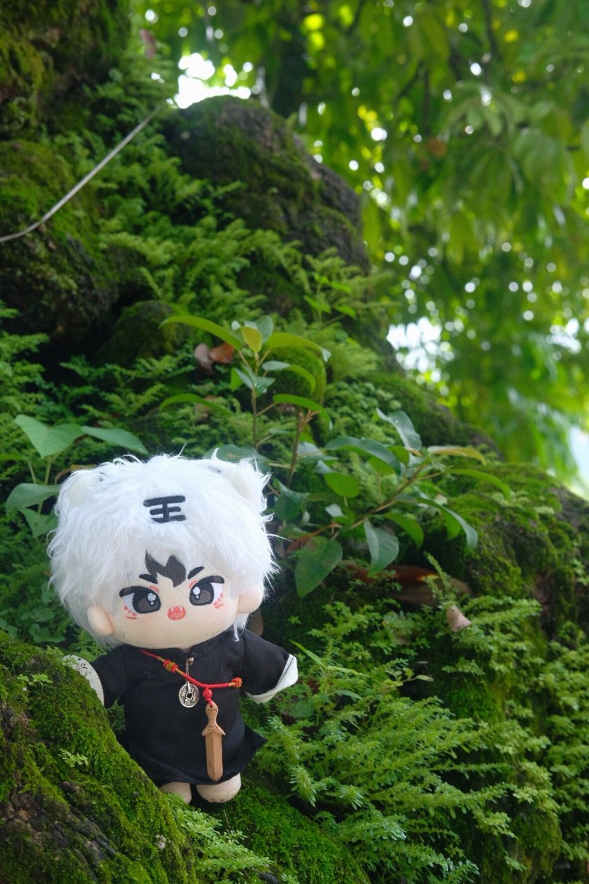 罗浮山|九天古观 来自坤道道长的亿点点震撼 九天观作为罗浮山目前