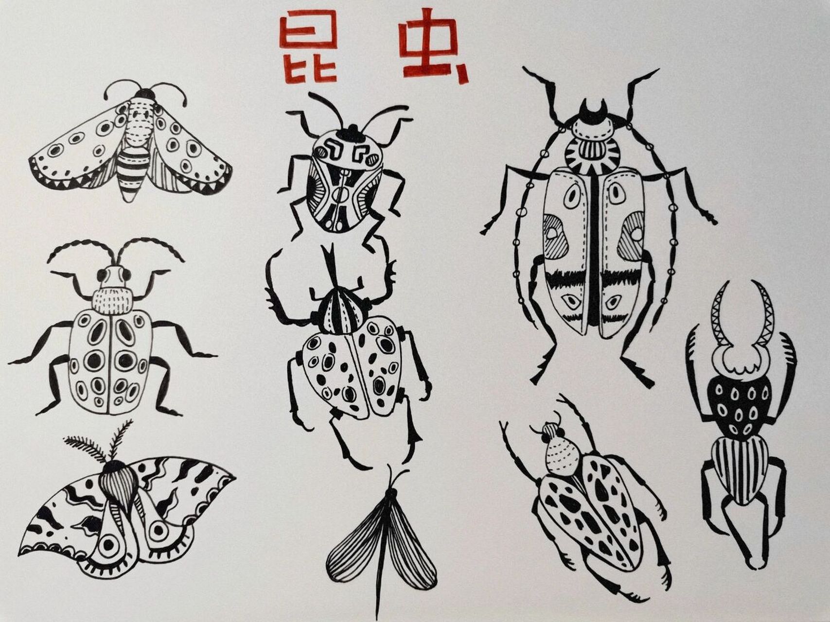 简笔画——昆虫