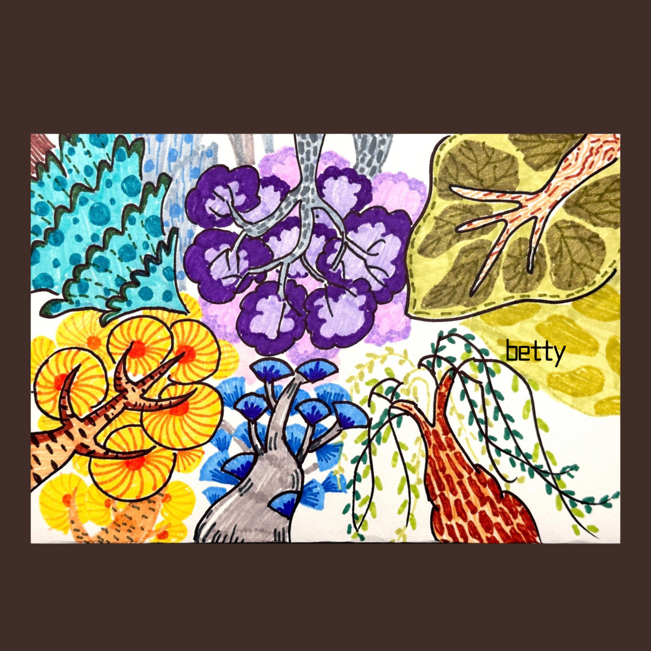 《认识身边的树98》三种表现形式