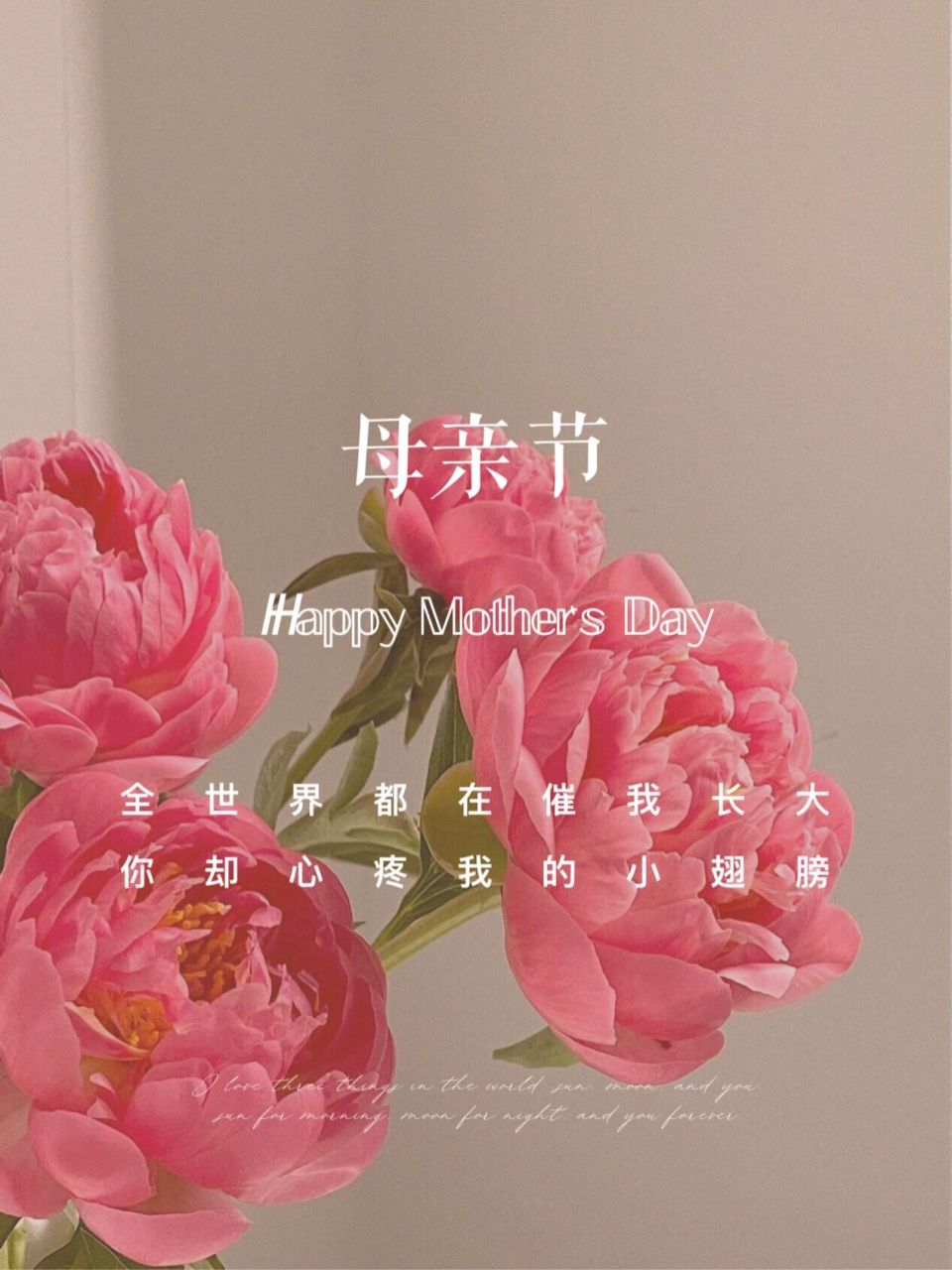 母亲节 | 母亲节文案 | 母亲节海报 | 花店 76 65303535