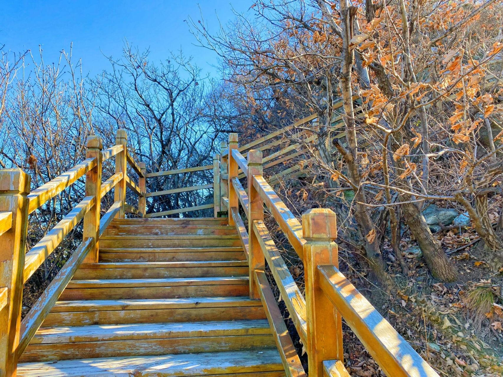 巴尔虎山,是沈阳市最高山峰,海拔427米.位于康,法两县境内.