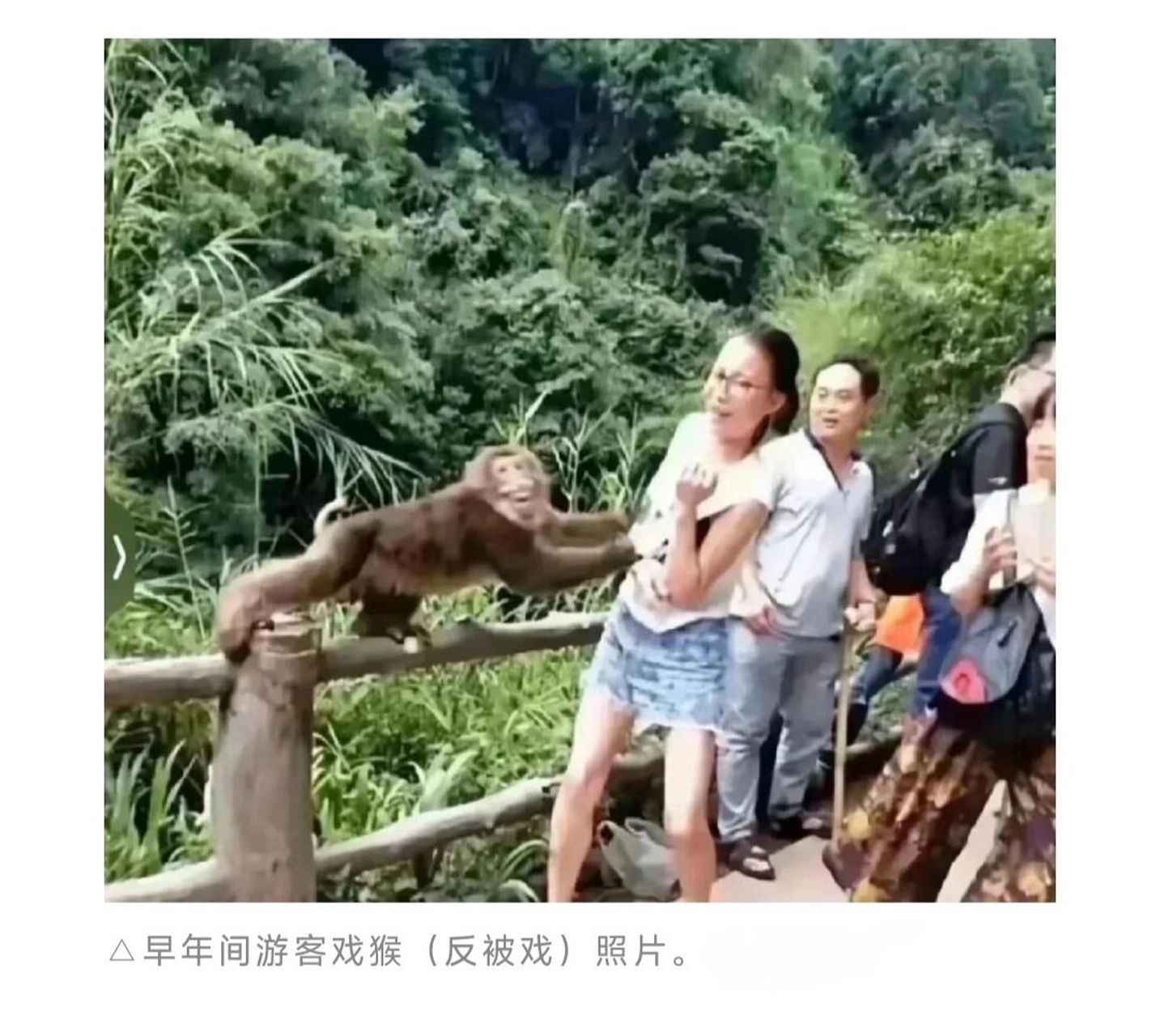 原来如此        没想到我喜欢用的表情包竟然是峨眉山的猴子,难怪笑