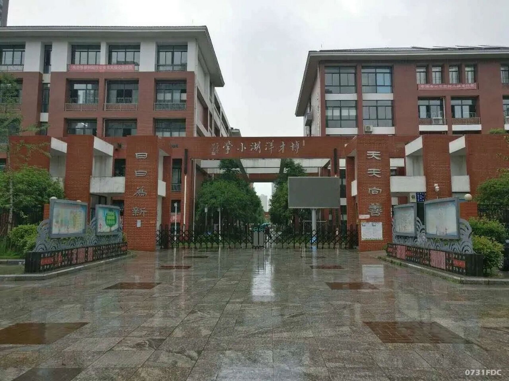 湖南师大附小和洋湖博才小学,到底选哪个… 感谢大家的回复!