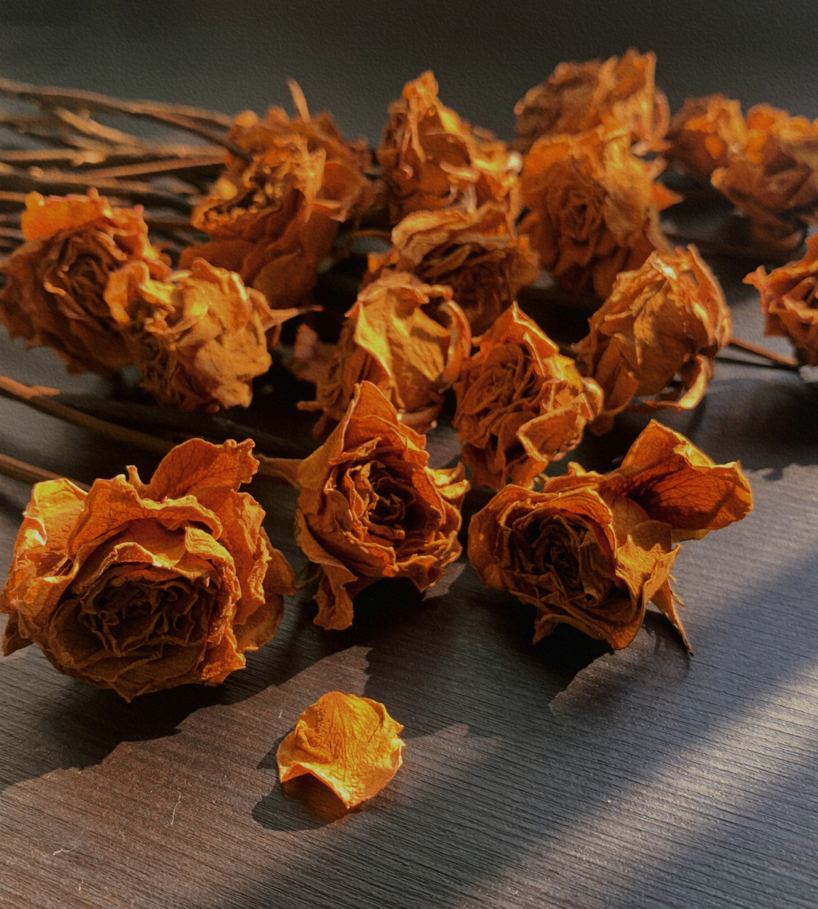 干花|花的文案 7315干花是时间的馈赠,从一种美丽到另一种美丽