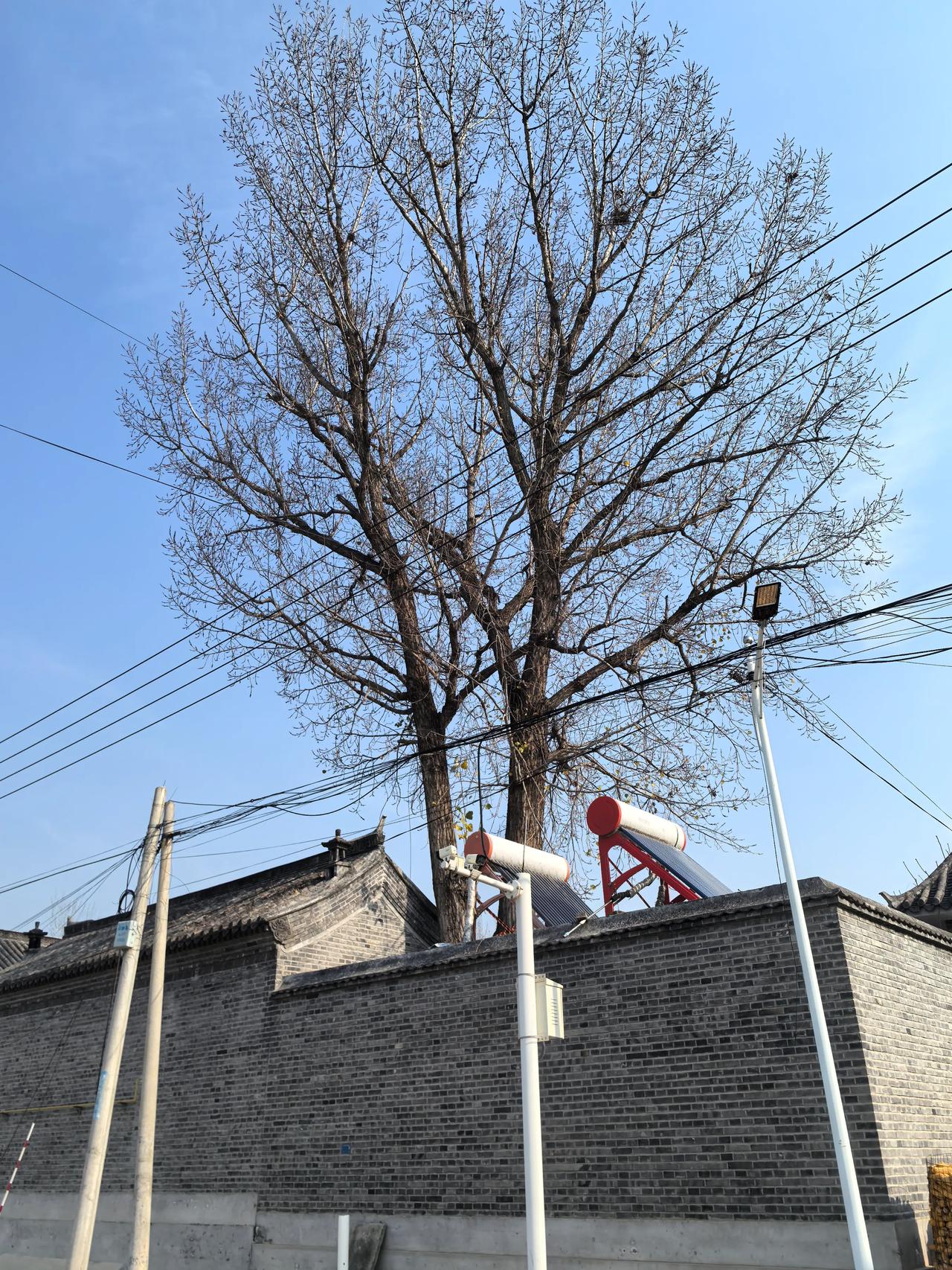 虽说最近较忙,但感觉老太太让我回家拿菜,也许是希