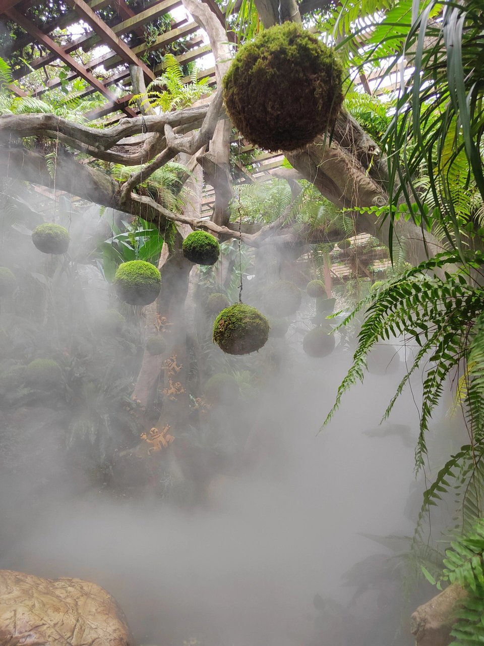 青秀山荫生植物园图片