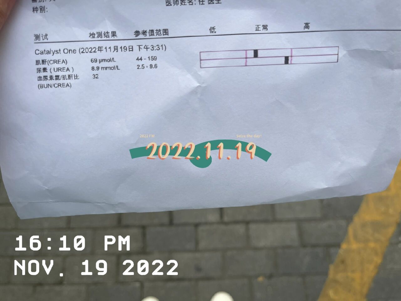 复查|尿素氮恢复正常值了!