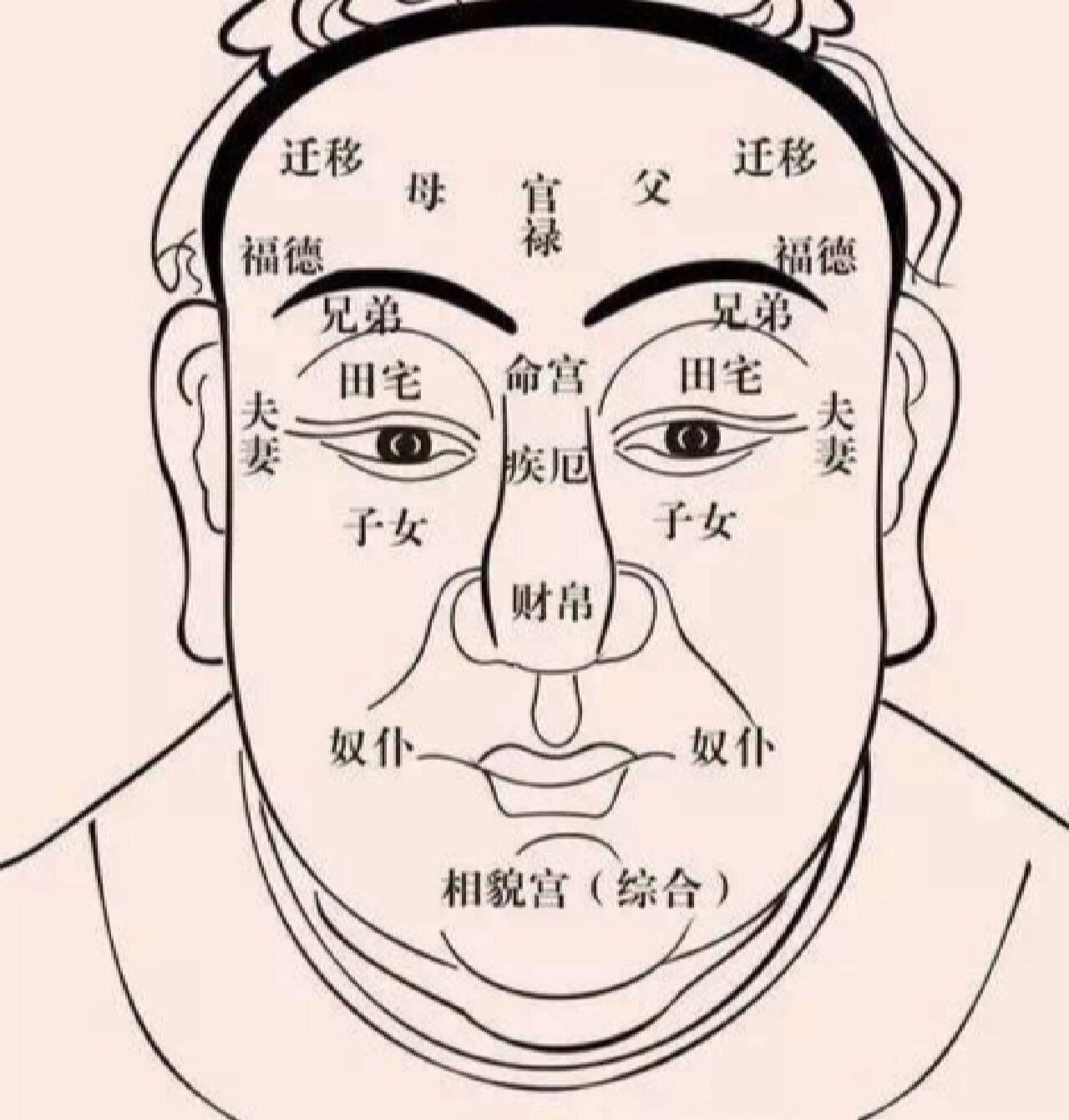 鼻骨犯眉照片图片