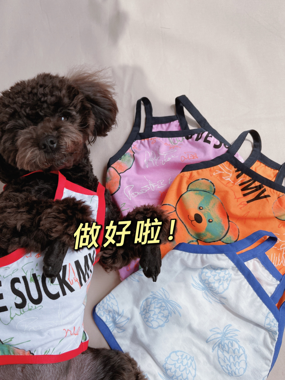 diy狗子小背心(裁剪图) 哎呀呀我是真会过日子,这版布太小了好多片