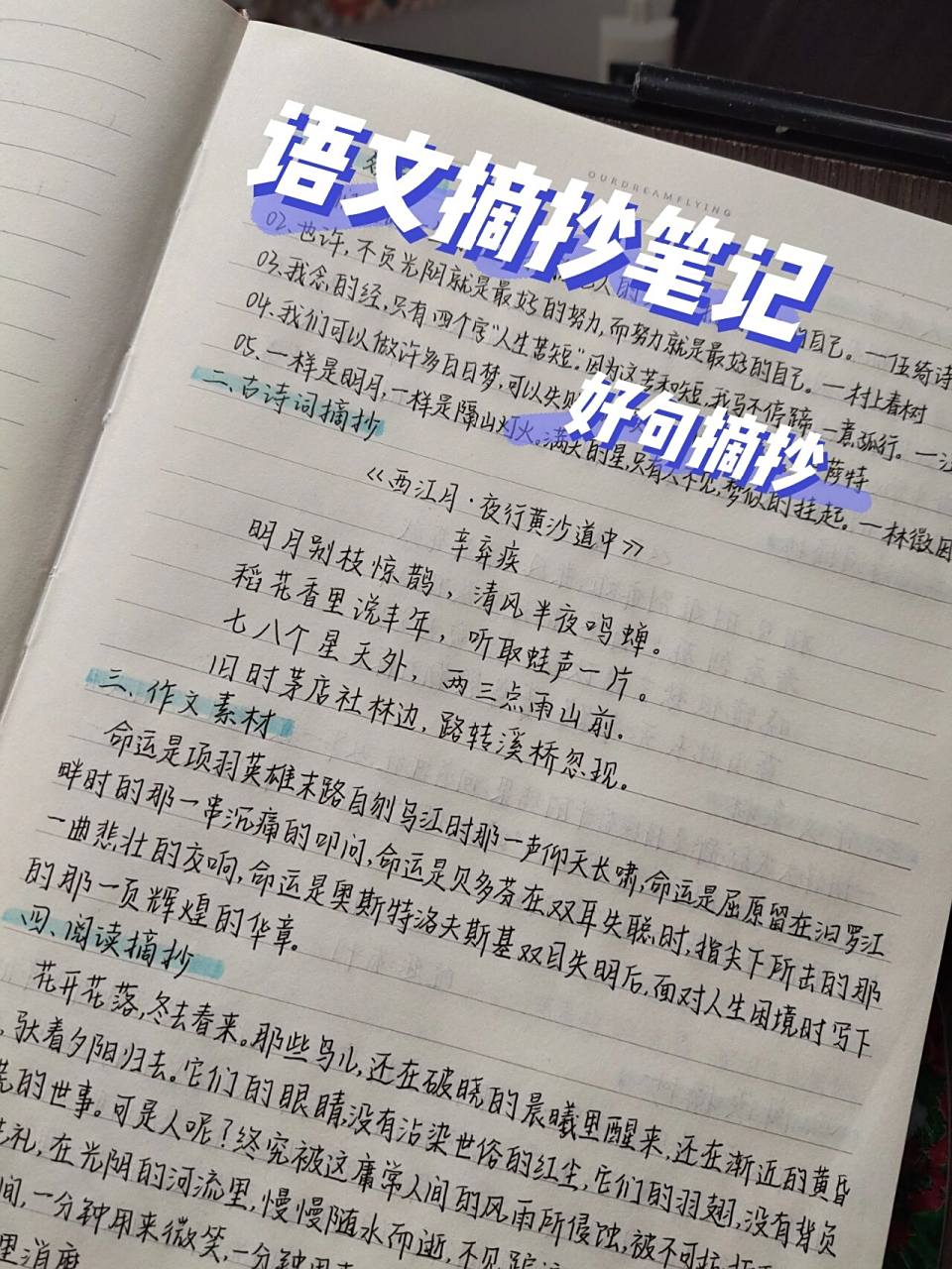 语文摘抄笔记/好句摘抄/作文素材/古诗词 简单点 热烈点 坚定点 就做