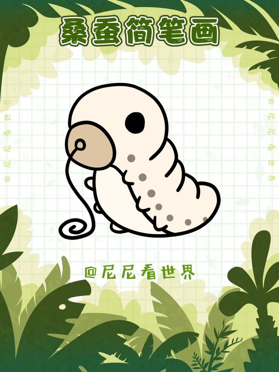 尼尼简笔画|桑蚕简笔画vol.62 桑蚕(bombyx mori l.