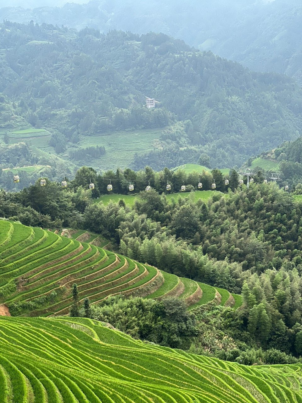 广西|桂林 龙脊梯田9491 乘坐缆车07到达山顶 龙脊山上开发的