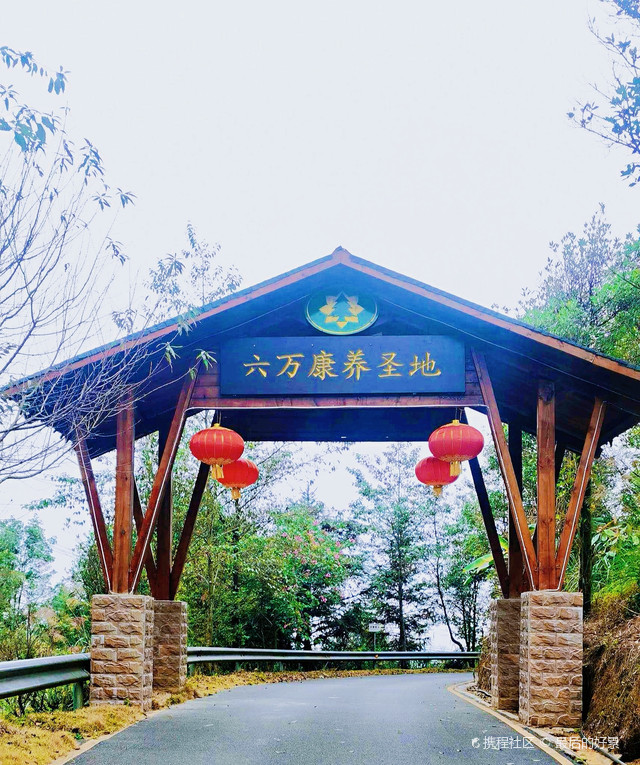 广西玉林六万大山森林公园