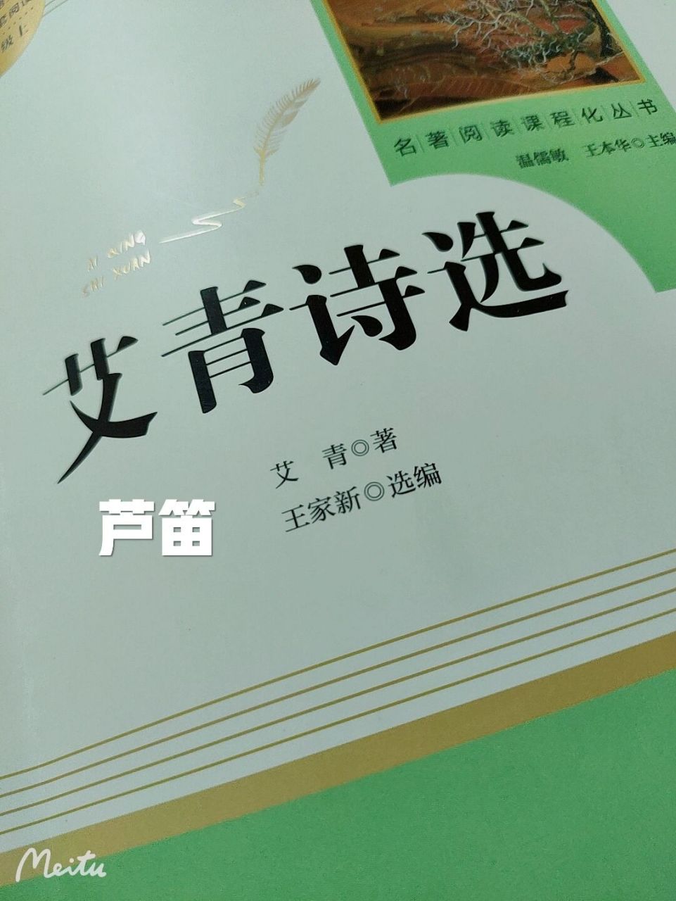 艾青诗选《芦笛》 芦笛,读书批注