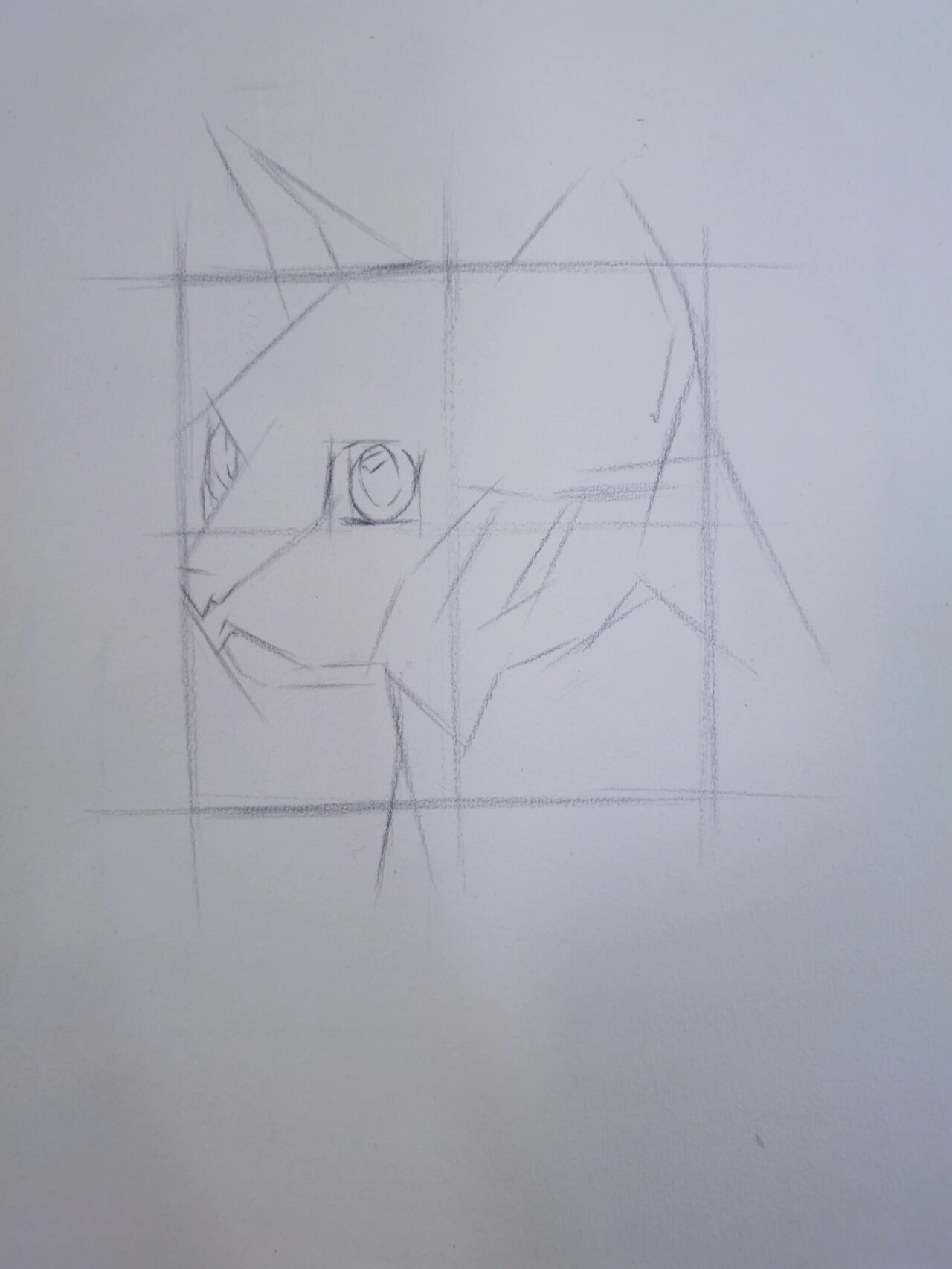 素描动物  猫咪步骤图分享