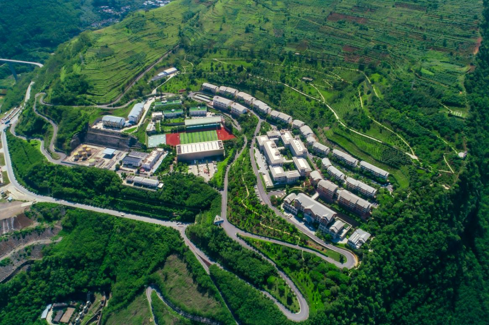 【#白鹤滩水电站建设营地的绿色住客#】在四川省宁南县白鹤滩镇上村