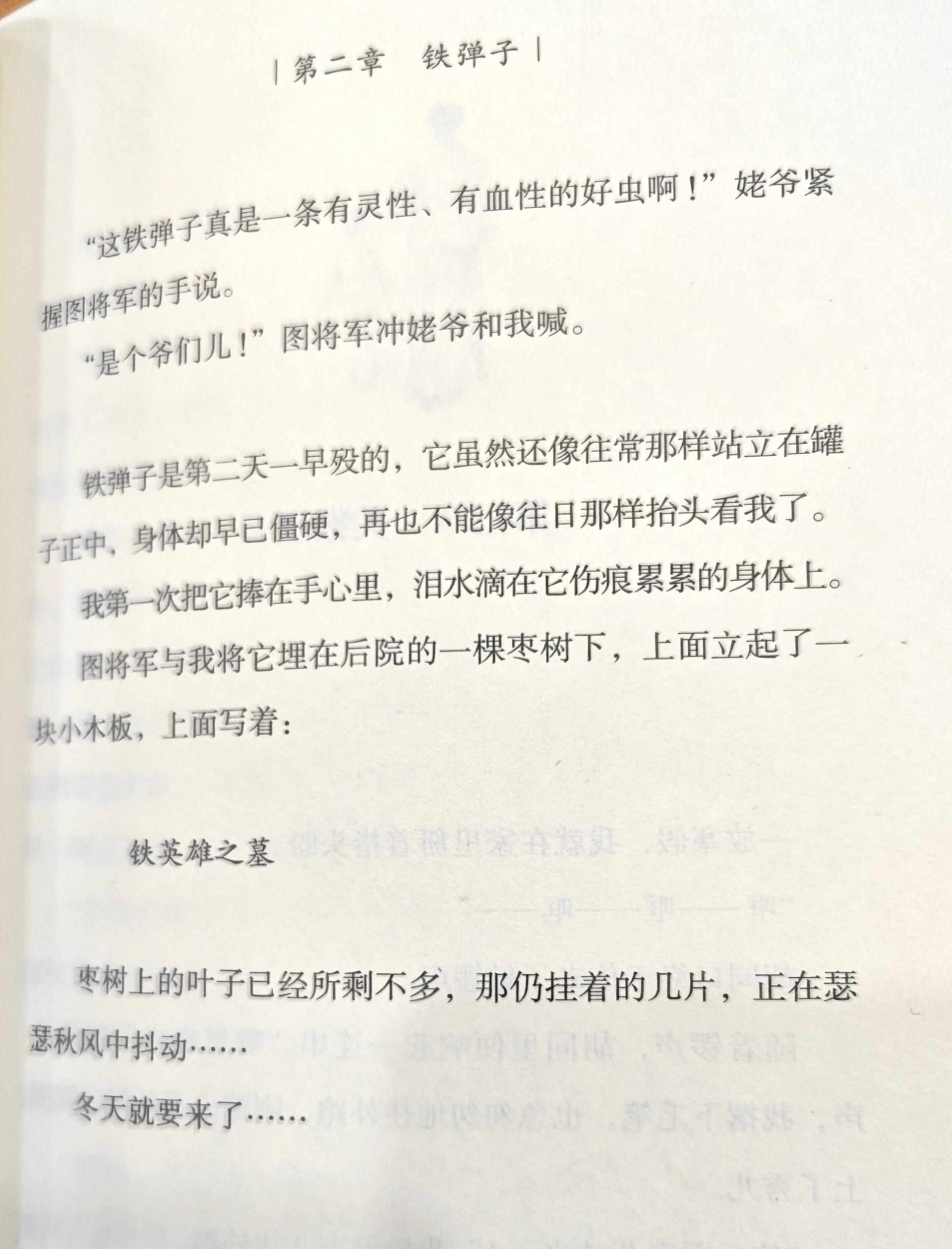 将军胡同主要人物图片