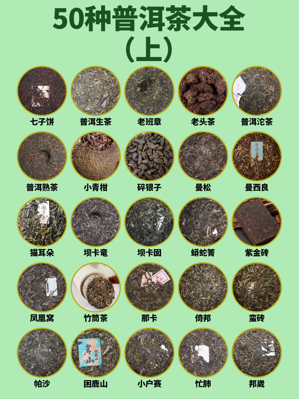 茶知识|50种普洱茶大全(上)98 50种普洱茶大全(上) 95七子饼 95