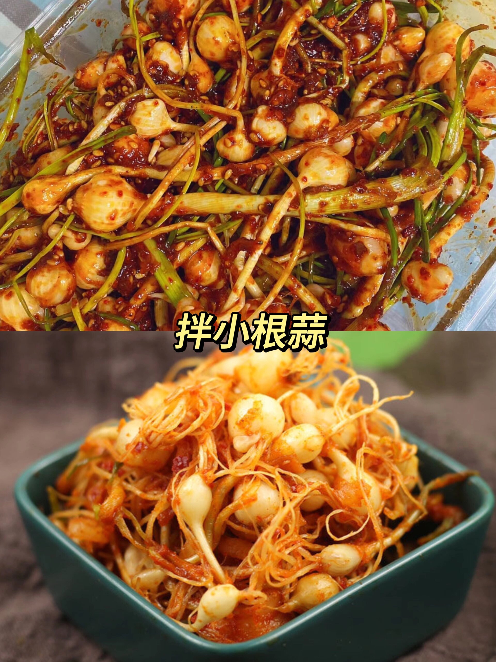 延边拌菜|朝鲜族泡菜竟然有这么多种!