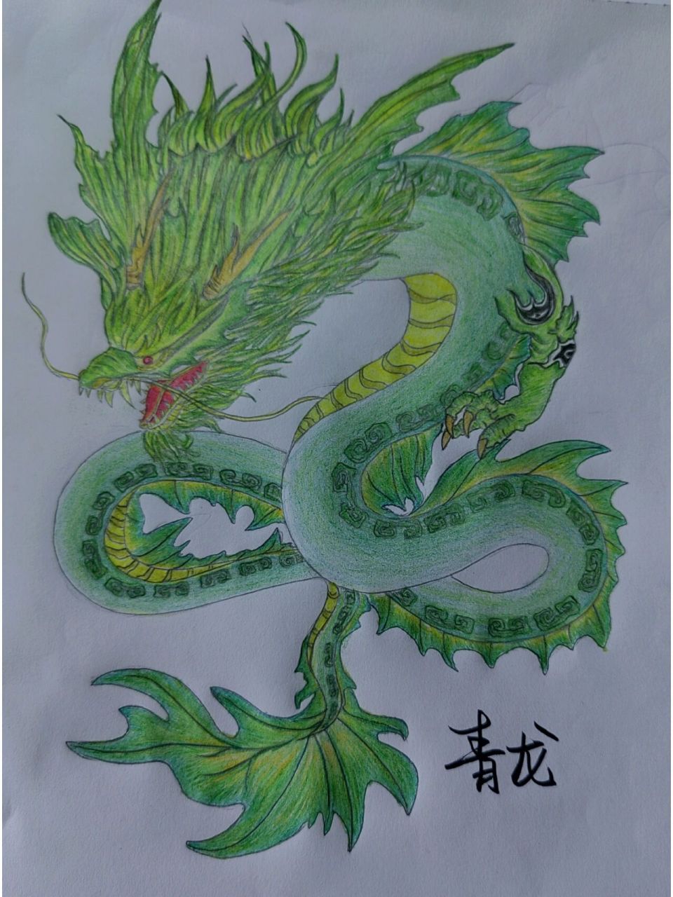 彩铅绘画:青龙