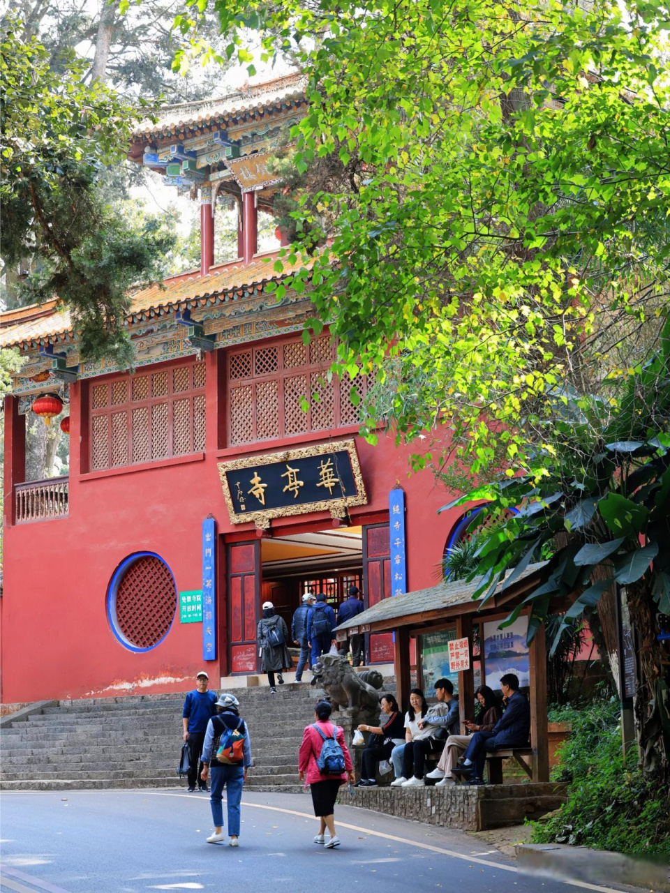 昆明西山华亭寺,银杏不负秋,风景正当时.