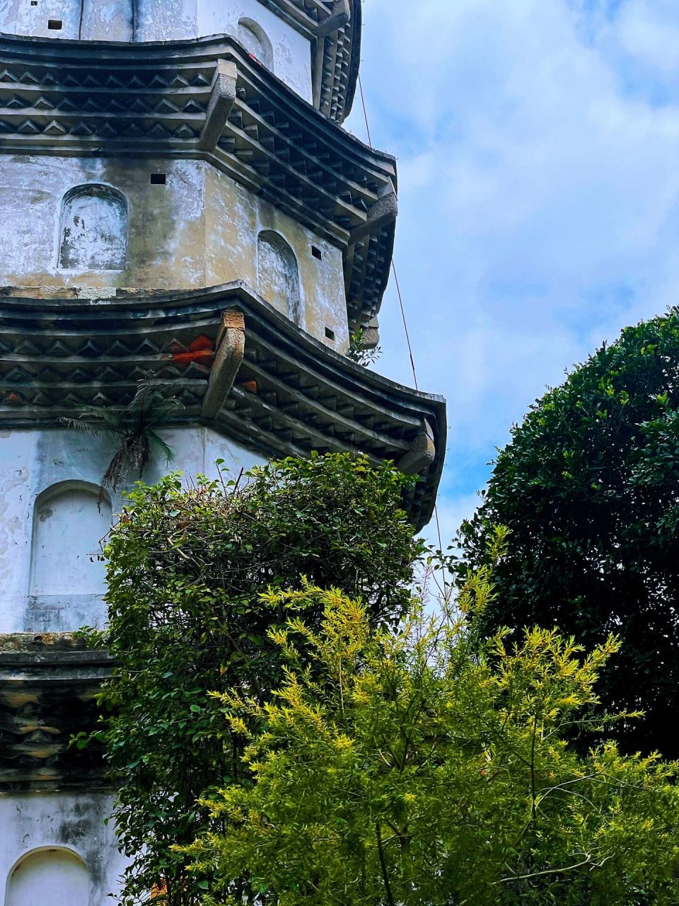 一片美丽的湿地 连江的"含光廊桥" 位于江滨东路至含光生态公园之间