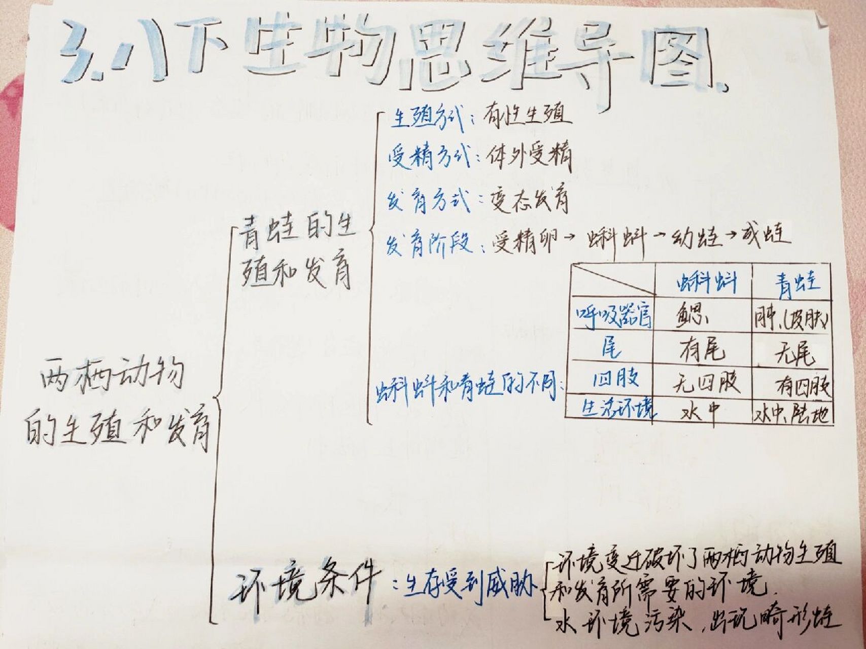 两栖类动物的发育过程图片