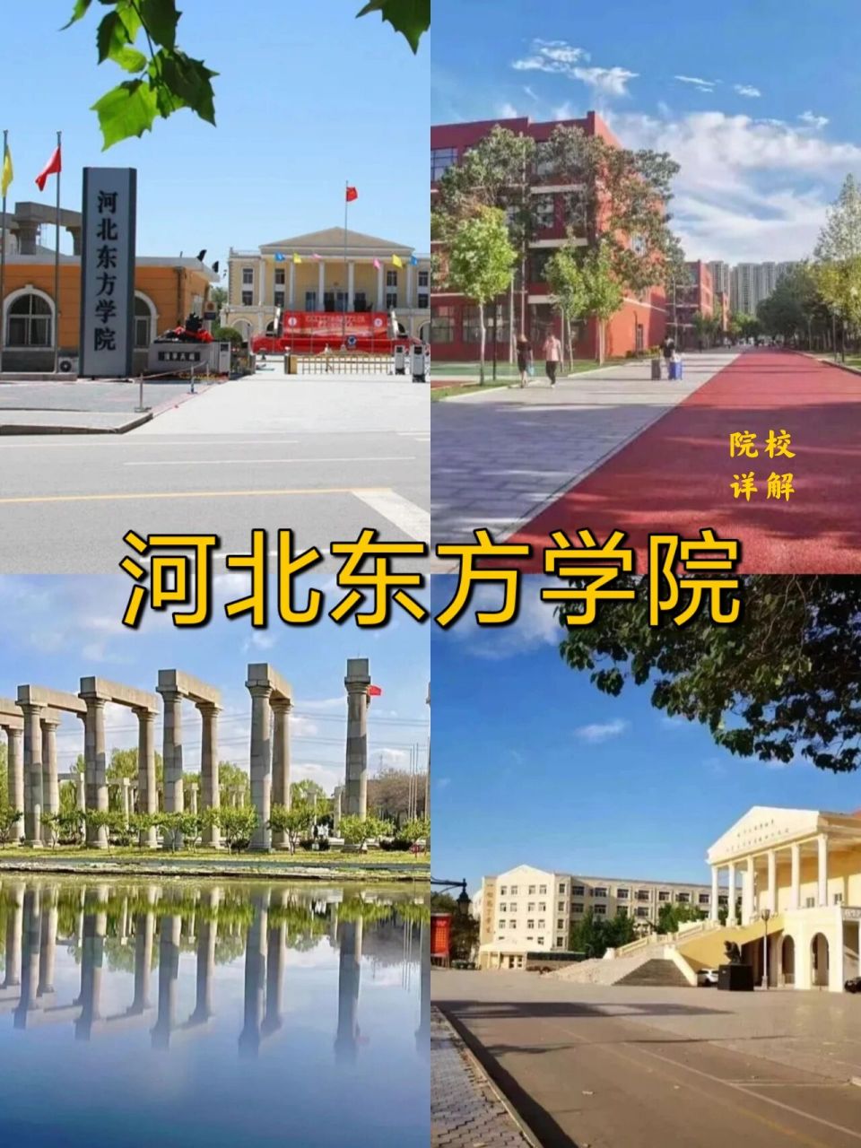 沧州东方学院图片