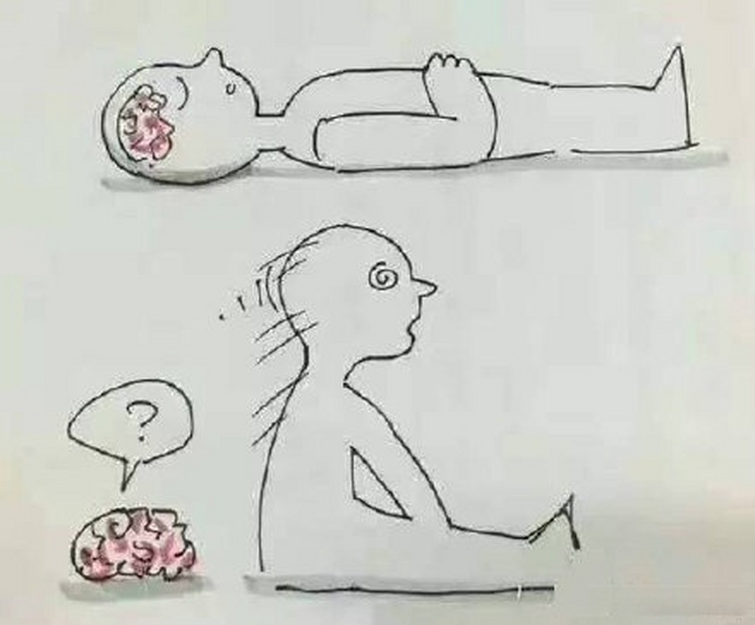 起猛了,出门没带脑子.[三哈] #搞笑