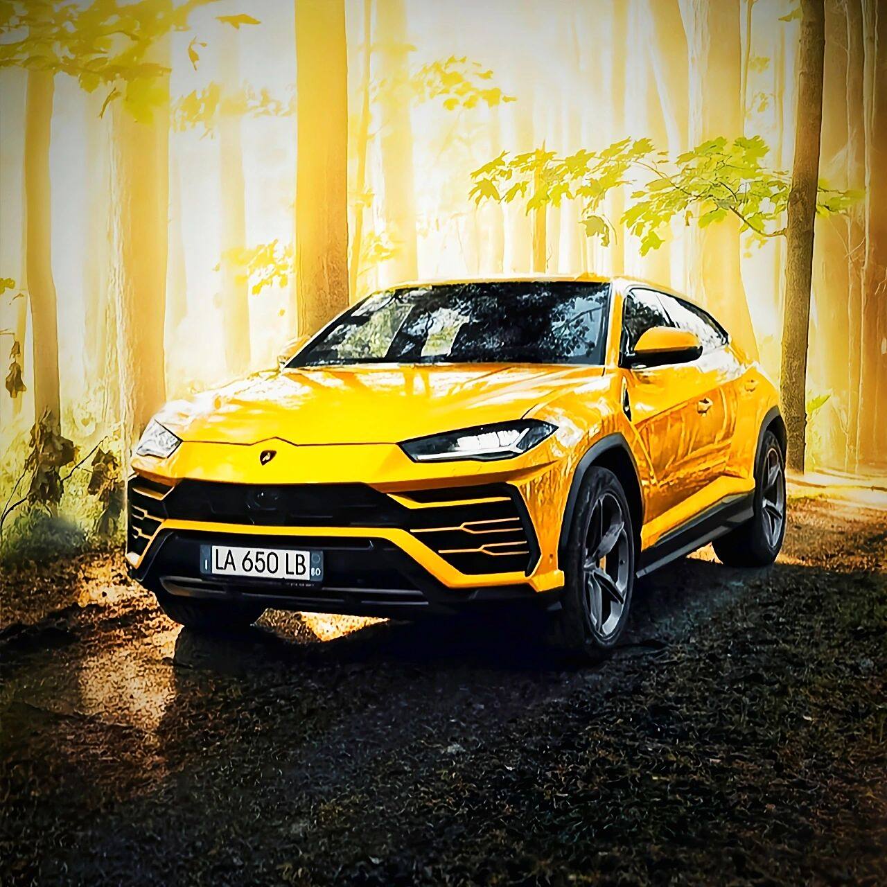 兰博基尼头像round three75     round three,取图点7815,关注