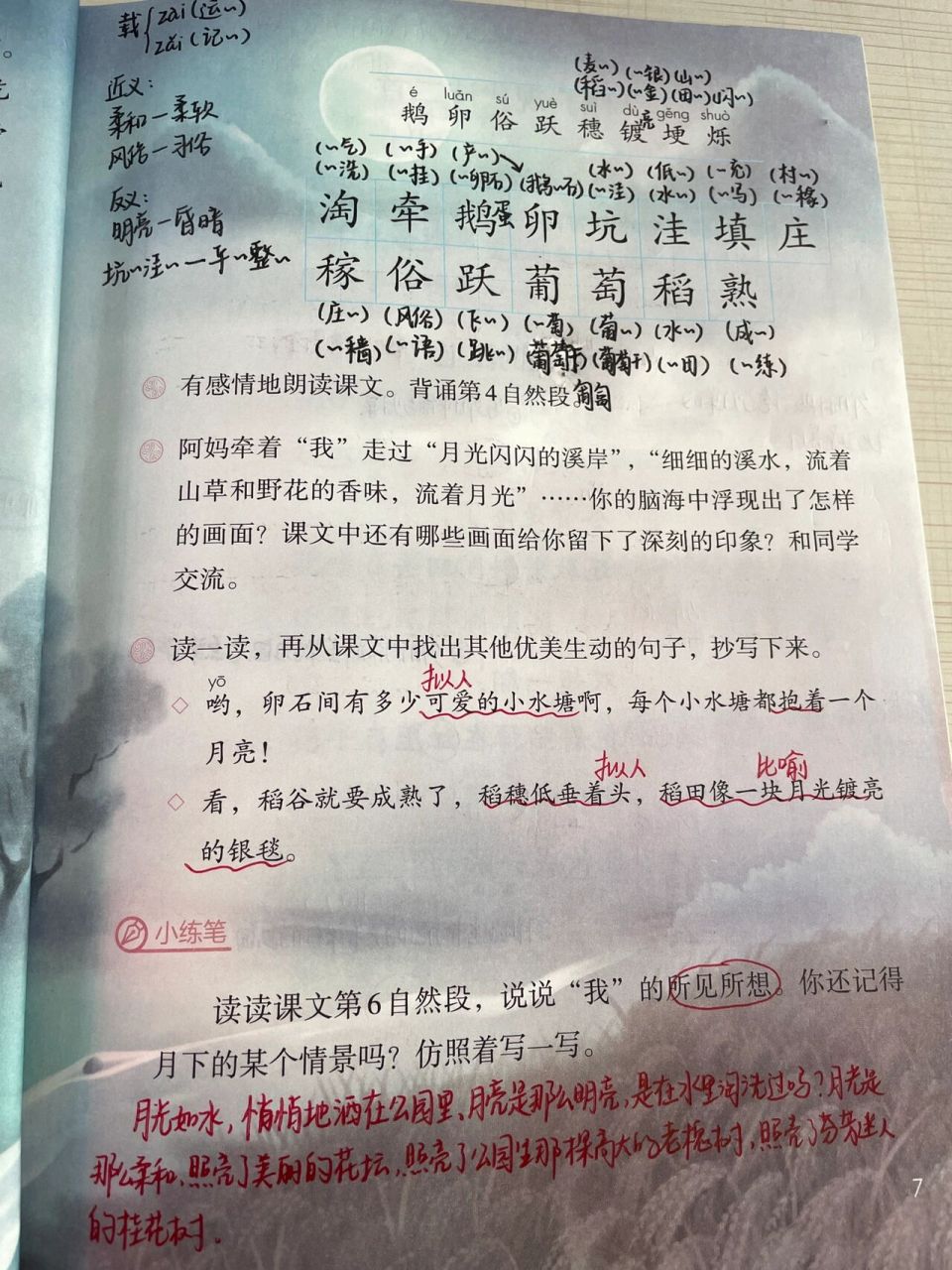 四年级上册语文第2课《走月亮》课堂笔记