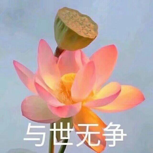 清心寡欲