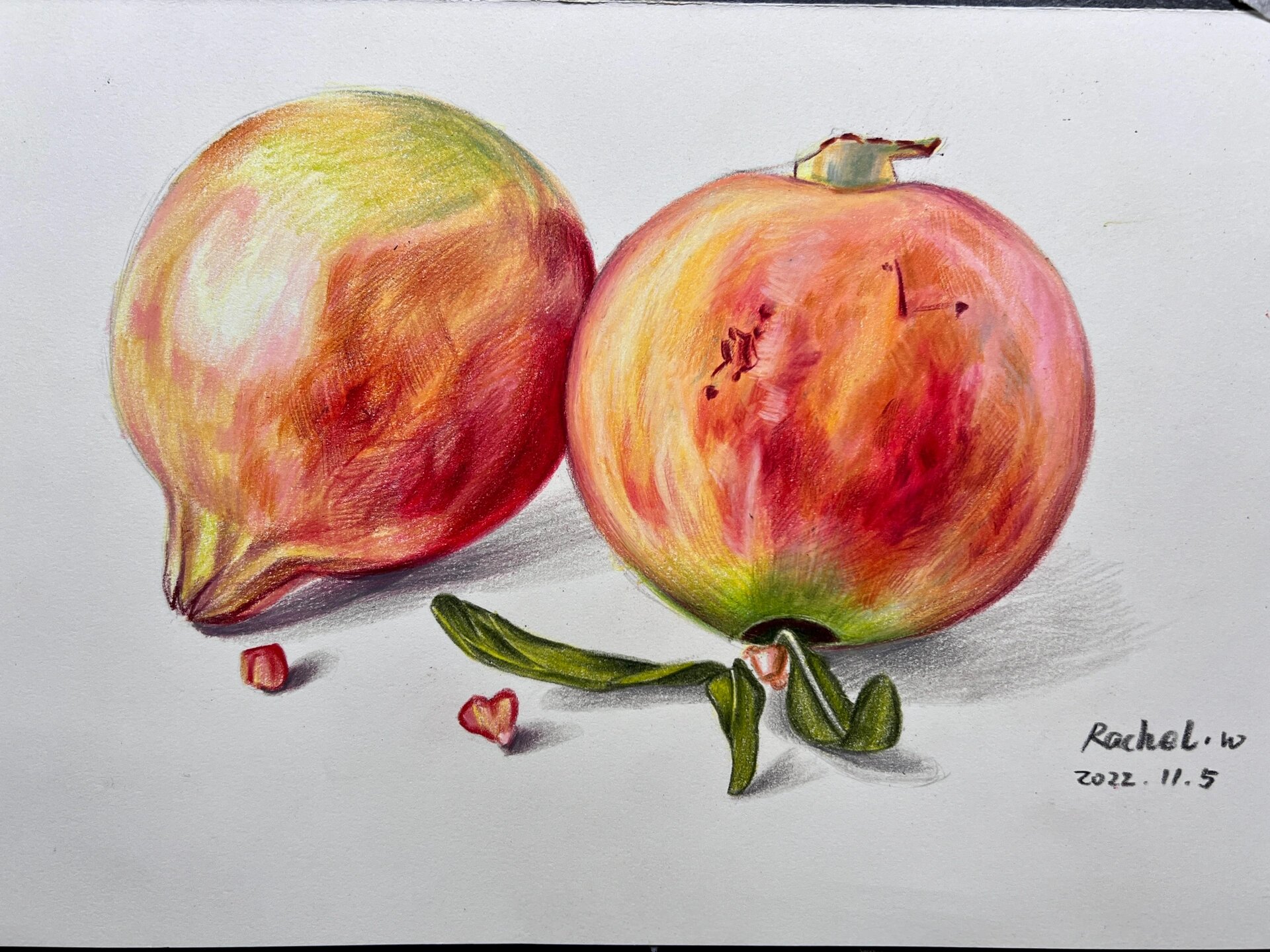 彩铅手绘石榴|附步骤