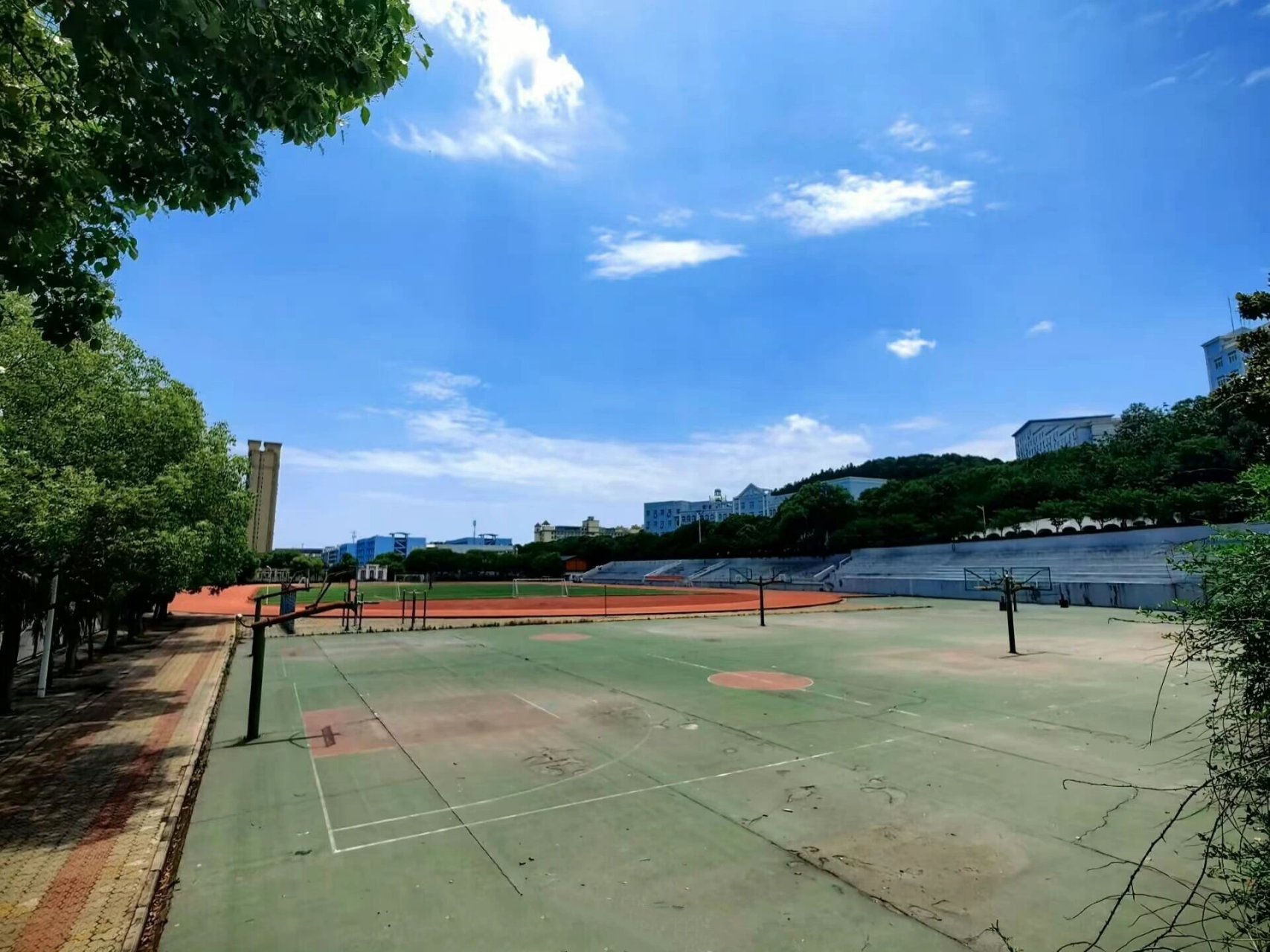 武昌理工学院93 武昌理工学院校园环境 梅南山麓,汤逊湖畔.