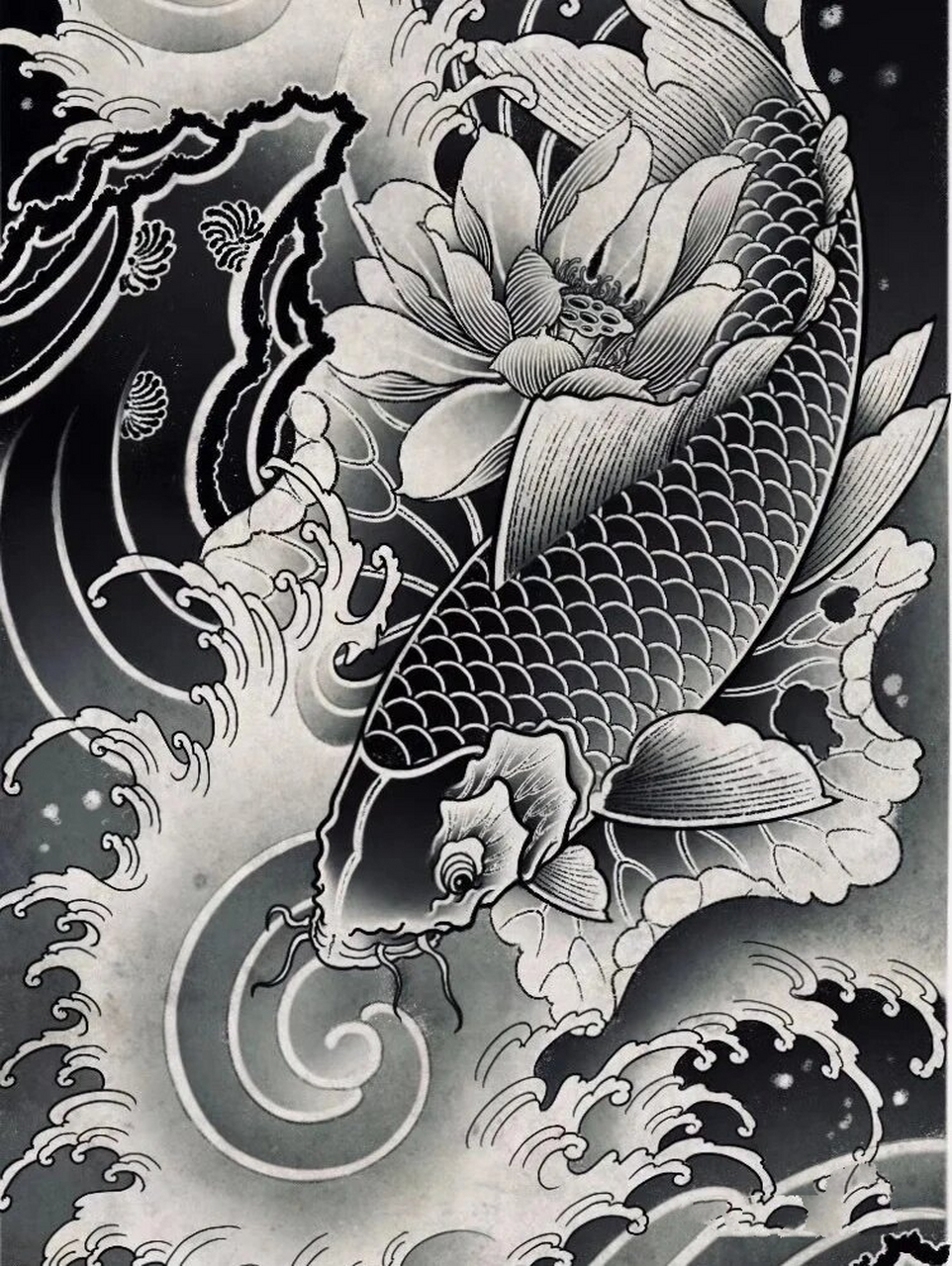 鲤鱼满背纹身图 日式传统 鲤鱼满背 喜欢点赞收藏哦