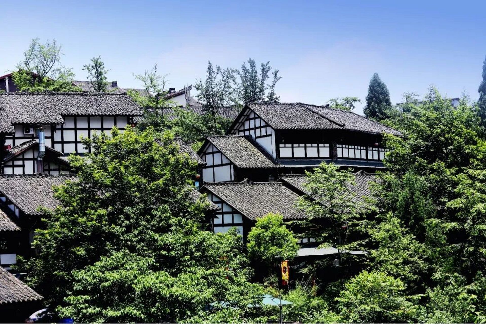 洪雅·七里坪 被誉为中国眉山七里坪国际旅游度假区 适宜温度,薄荷