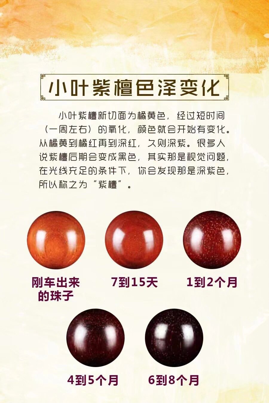 印度小叶紫檀色泽变化过程