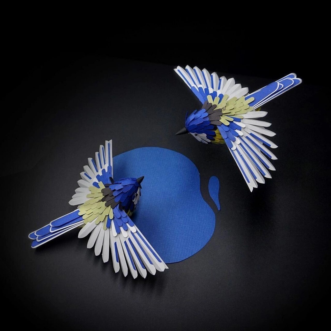 纸艺|立体纸雕 94这只鸟像真的一样6015 设计师克claire muth